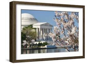 Spring in Washington DC - Cherry Blossom Festival at Jefferson Memorial-Orhan-Framed Photographic Print