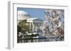 Spring in Washington DC - Cherry Blossom Festival at Jefferson Memorial-Orhan-Framed Photographic Print