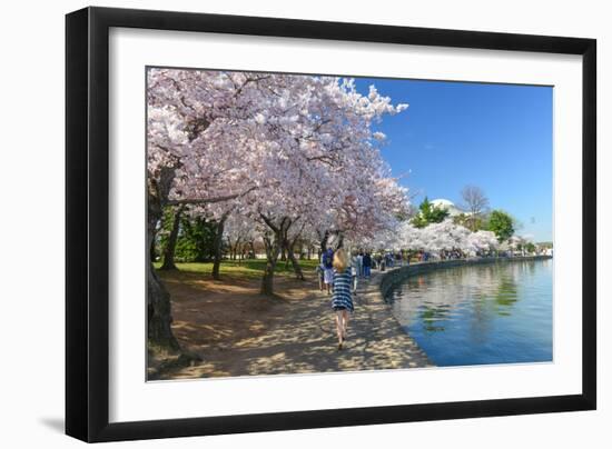 Spring in Washington DC - Cherry Blossom Festival at Jefferson Memorial-Orhan-Framed Photographic Print