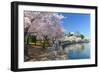 Spring in Washington DC - Cherry Blossom Festival at Jefferson Memorial-Orhan-Framed Photographic Print