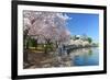 Spring in Washington DC - Cherry Blossom Festival at Jefferson Memorial-Orhan-Framed Photographic Print