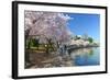 Spring in Washington DC - Cherry Blossom Festival at Jefferson Memorial-Orhan-Framed Photographic Print