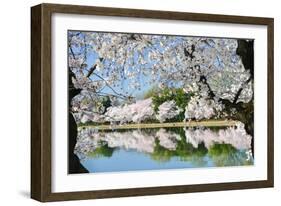 Spring in Washington DC - Cherry Blossom Festival at Tidal Basin-Orhan-Framed Photographic Print