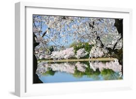 Spring in Washington DC - Cherry Blossom Festival at Tidal Basin-Orhan-Framed Photographic Print