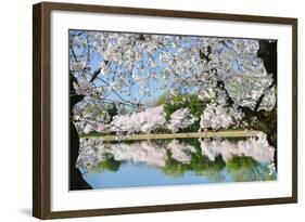 Spring in Washington DC - Cherry Blossom Festival at Tidal Basin-Orhan-Framed Photographic Print