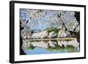 Spring in Washington DC - Cherry Blossom Festival at Tidal Basin-Orhan-Framed Photographic Print