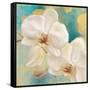 Spring into Summer I-Lanie Loreth-Framed Stretched Canvas