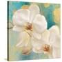 Spring into Summer I-Lanie Loreth-Stretched Canvas