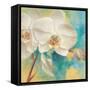 Spring into Summer II-Lanie Loreth-Framed Stretched Canvas