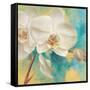 Spring into Summer II-Lanie Loreth-Framed Stretched Canvas