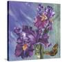 Spring Iris Garden-Bill Jackson-Stretched Canvas