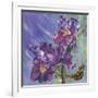 Spring Iris Garden-Bill Jackson-Framed Giclee Print