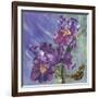 Spring Iris Garden-Bill Jackson-Framed Giclee Print