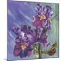 Spring Iris Garden-Bill Jackson-Mounted Giclee Print