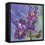 Spring Iris Garden-Bill Jackson-Framed Stretched Canvas