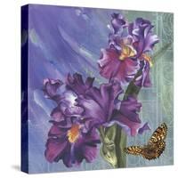 Spring Iris Garden-Bill Jackson-Stretched Canvas