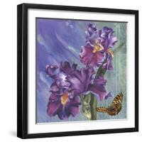 Spring Iris Garden-Bill Jackson-Framed Giclee Print