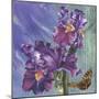Spring Iris Garden-Bill Jackson-Mounted Giclee Print