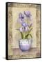 Spring Iris-Abby White-Framed Stretched Canvas