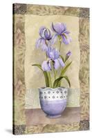 Spring Iris-Abby White-Stretched Canvas