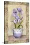 Spring Iris-Abby White-Stretched Canvas