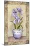 Spring Iris-Abby White-Mounted Art Print