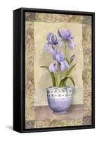 Spring Iris-Abby White-Framed Stretched Canvas