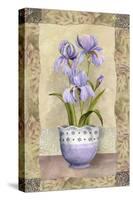 Spring Iris-Abby White-Stretched Canvas