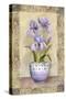 Spring Iris-Abby White-Stretched Canvas