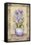 Spring Iris-Abby White-Framed Stretched Canvas