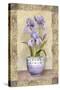 Spring Iris-Abby White-Stretched Canvas