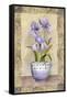 Spring Iris-Abby White-Framed Stretched Canvas