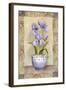 Spring Iris-Abby White-Framed Art Print