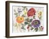 Spring Is Coming 2-Marietta Cohen Art and Design-Framed Giclee Print