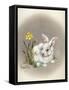 Spring Is Ear-Peggy Harris-Framed Stretched Canvas