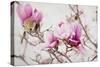 Spring is In the Air III-Elizabeth Urquhart-Stretched Canvas