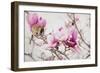 Spring is In the Air III-Elizabeth Urquhart-Framed Photo