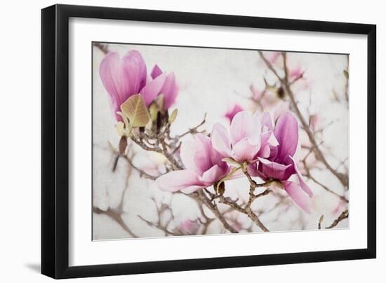 Spring is In the Air III-Elizabeth Urquhart-Framed Photo