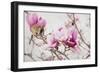 Spring is In the Air III-Elizabeth Urquhart-Framed Photo