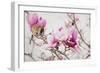 Spring is In the Air III-Elizabeth Urquhart-Framed Photo