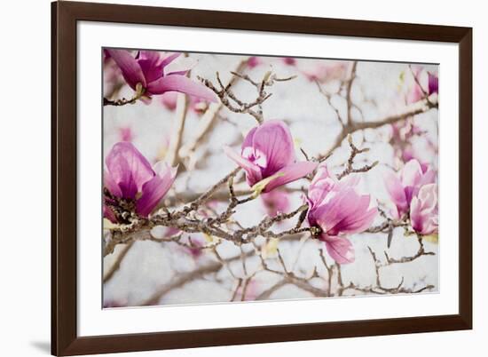 Spring is In the Air IV-Elizabeth Urquhart-Framed Photo