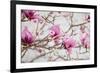 Spring is In the Air IV-Elizabeth Urquhart-Framed Photo