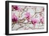 Spring is In the Air IV-Elizabeth Urquhart-Framed Photo