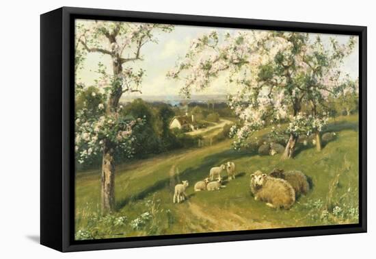 Spring Lambs-Arthur Walker Redgate-Framed Stretched Canvas