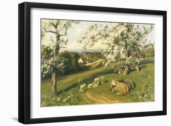 Spring Lambs-Arthur Walker Redgate-Framed Giclee Print