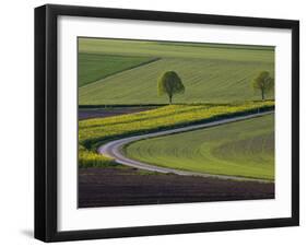 Spring Landscape by the Hochfels, Sure River Valley, Luxembourg-Walter Bibikow-Framed Photographic Print