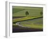 Spring Landscape by the Hochfels, Sure River Valley, Luxembourg-Walter Bibikow-Framed Photographic Print