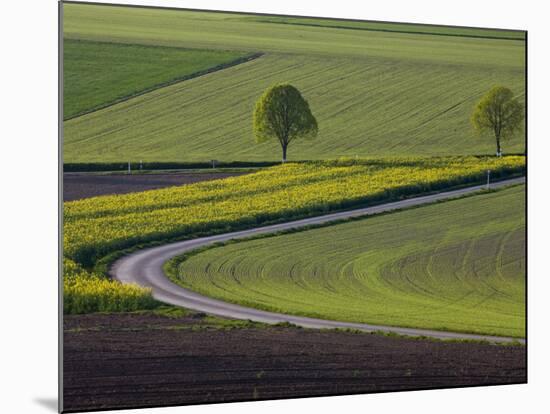 Spring Landscape by the Hochfels, Sure River Valley, Luxembourg-Walter Bibikow-Mounted Photographic Print