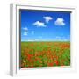 Spring Landscape with Red Poppy Field-volrab vaclav-Framed Photographic Print