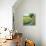 Spring Landscape-Molly Reeves-Stretched Canvas displayed on a wall